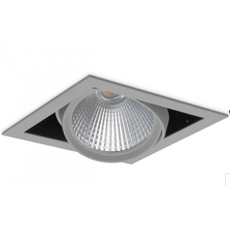 Įleidžiamas šviestuvas CYGNUS LED ZI