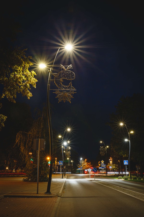Birštono miesto gatvių apšvietimas