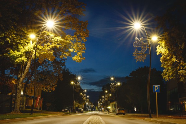 Birštono miesto gatvių apšvietimas